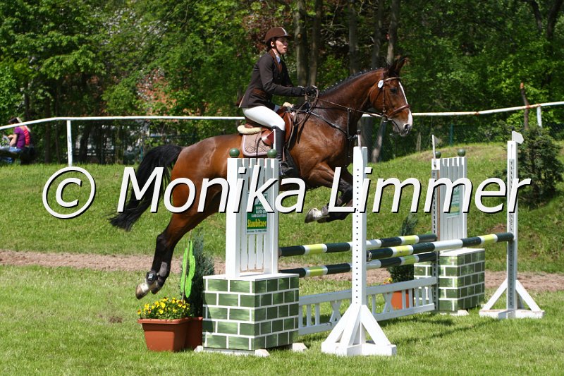 005M4815_Vienna_Stil A.JPG